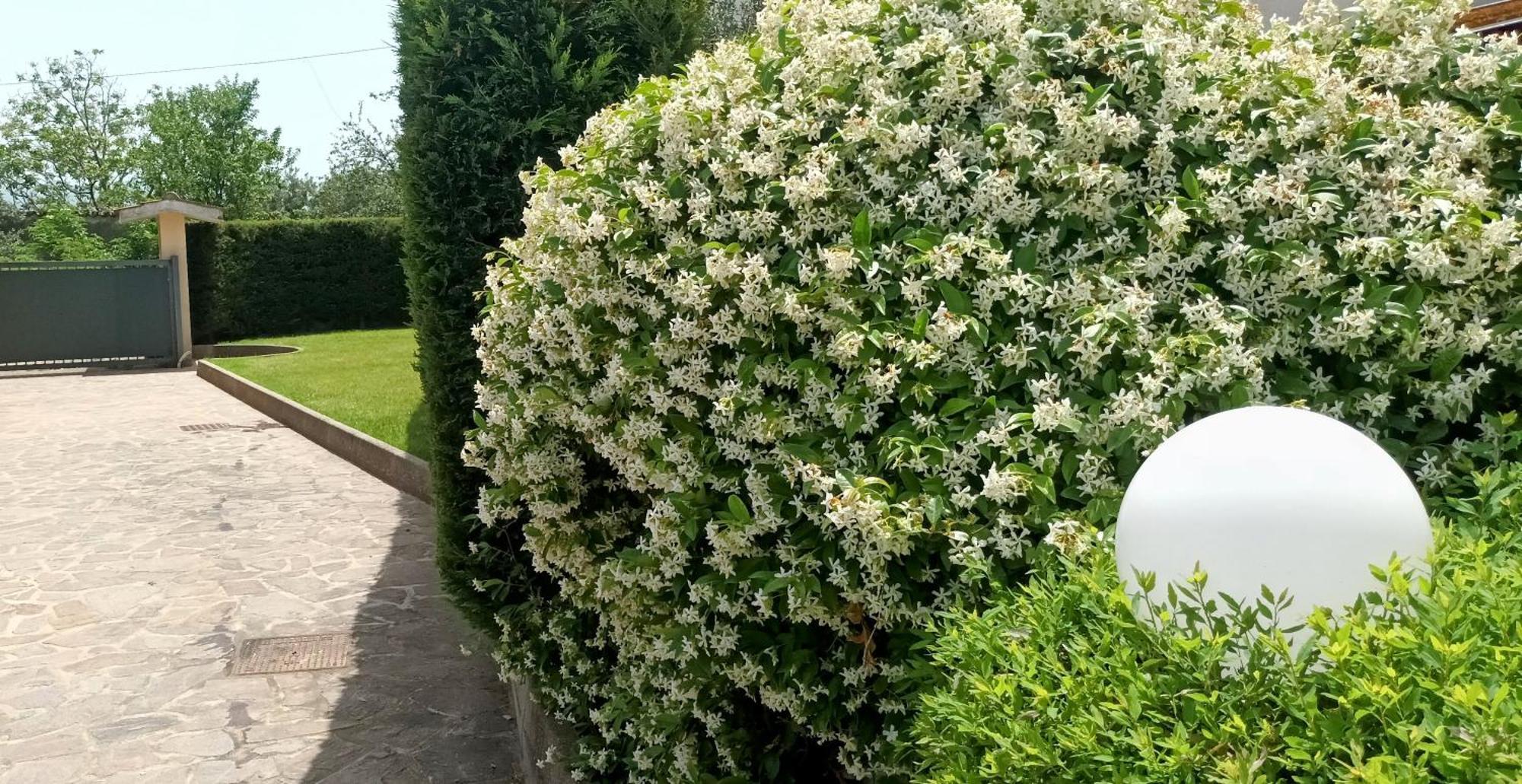 La Residenza Del Marchesato Panzió Marano Marchesato Kültér fotó