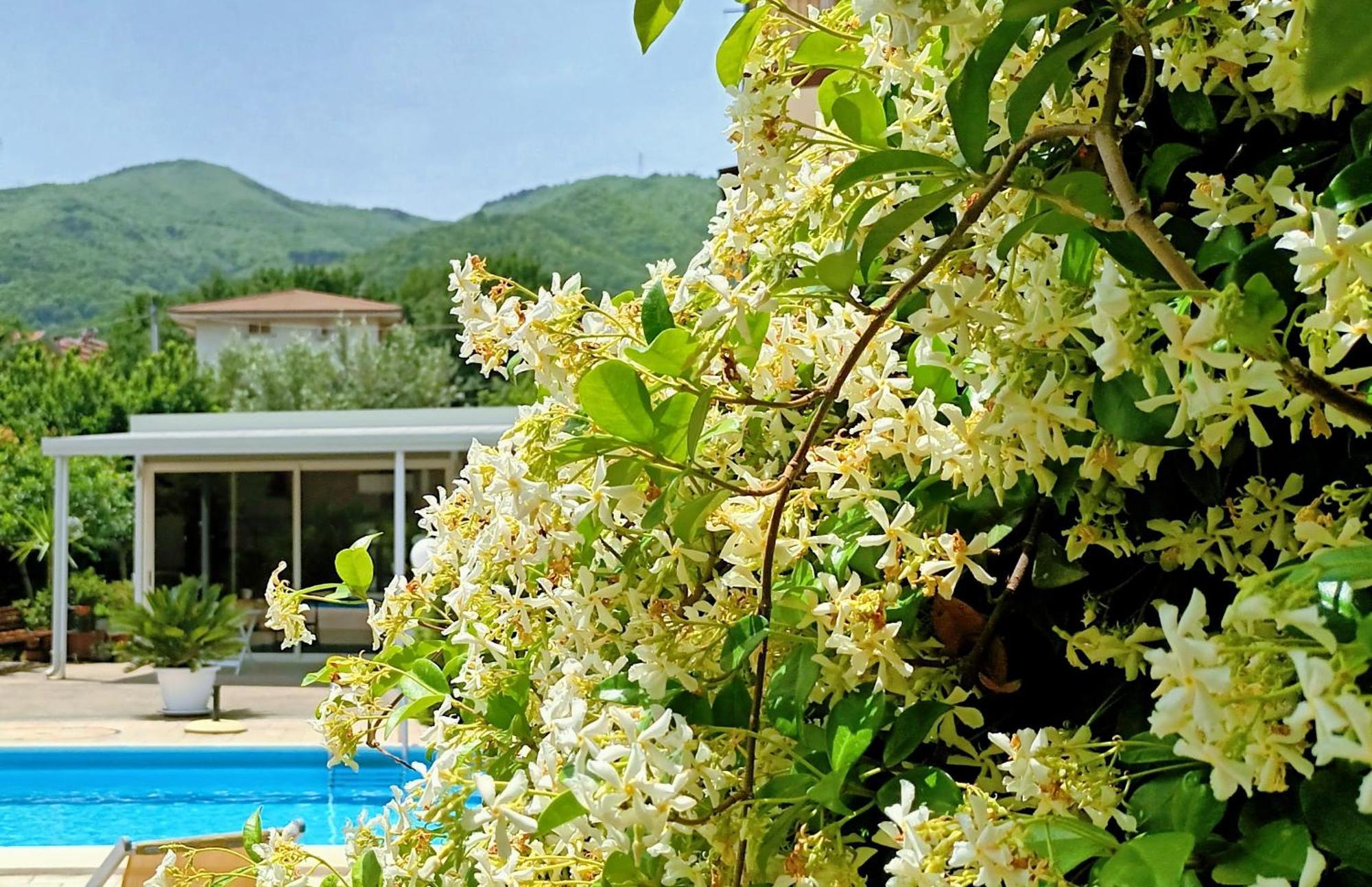 La Residenza Del Marchesato Panzió Marano Marchesato Kültér fotó